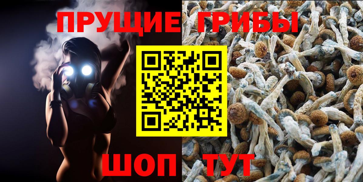 Псилоцибиновые грибы мухоморы Кировск