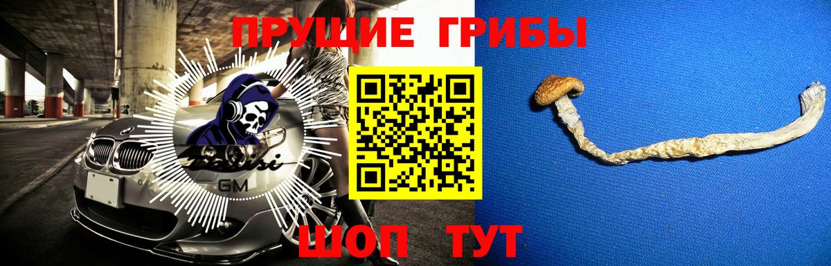 Псилоцибиновые грибы Psilocybine cubensis  Вход с VPN  Галлюциногенные грибы мицелий  Кировск 