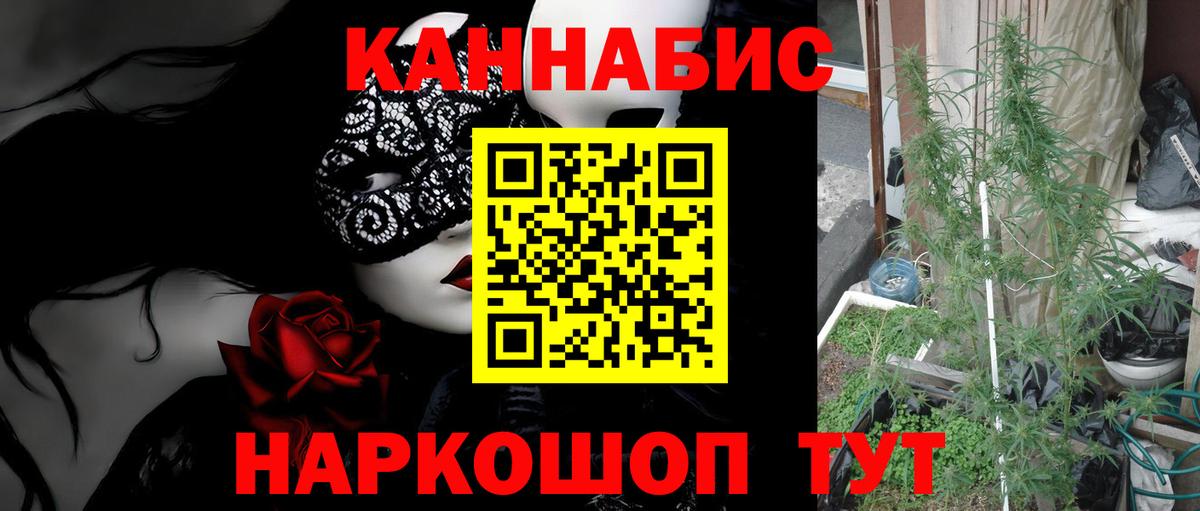 Марихуана конопля Кировск
