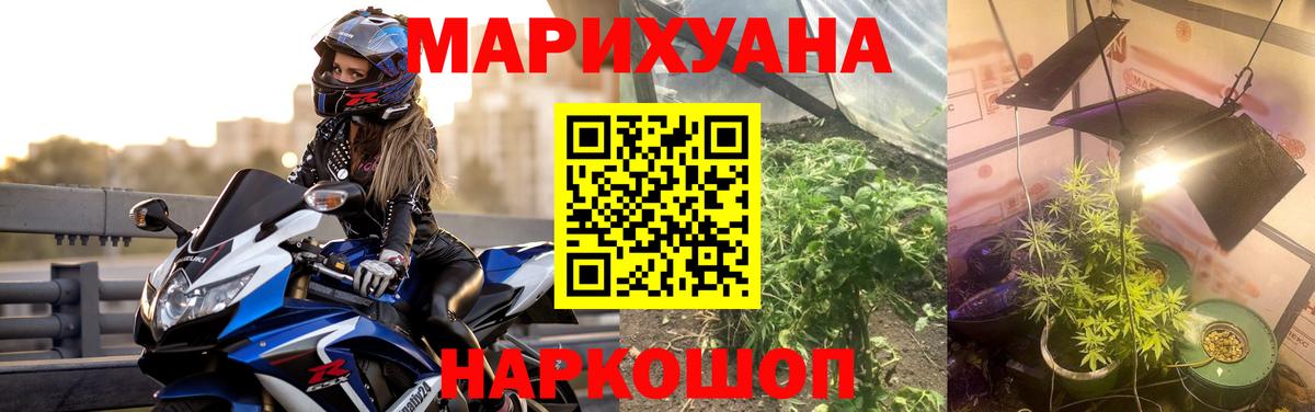 Шишки марихуана конопля  Бошки Шишки THC 21%  Вход с VPN  Бошки марихуана конопля  Кировск 